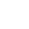b1
